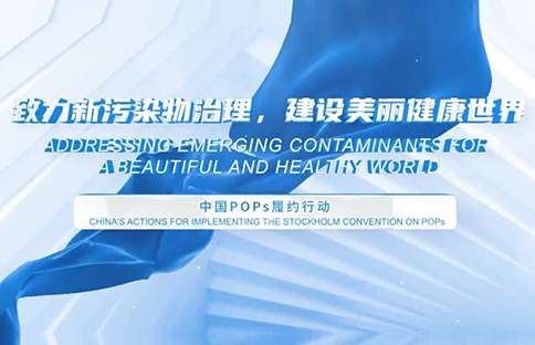 �й���Լ20��������Ƭ